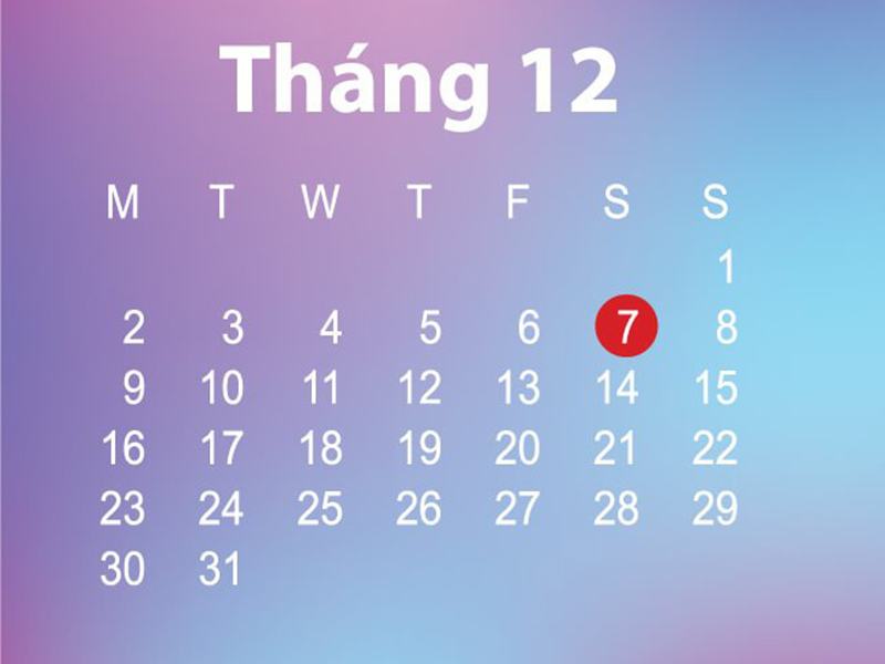 Tổng thể về những người sinh vào tháng 12